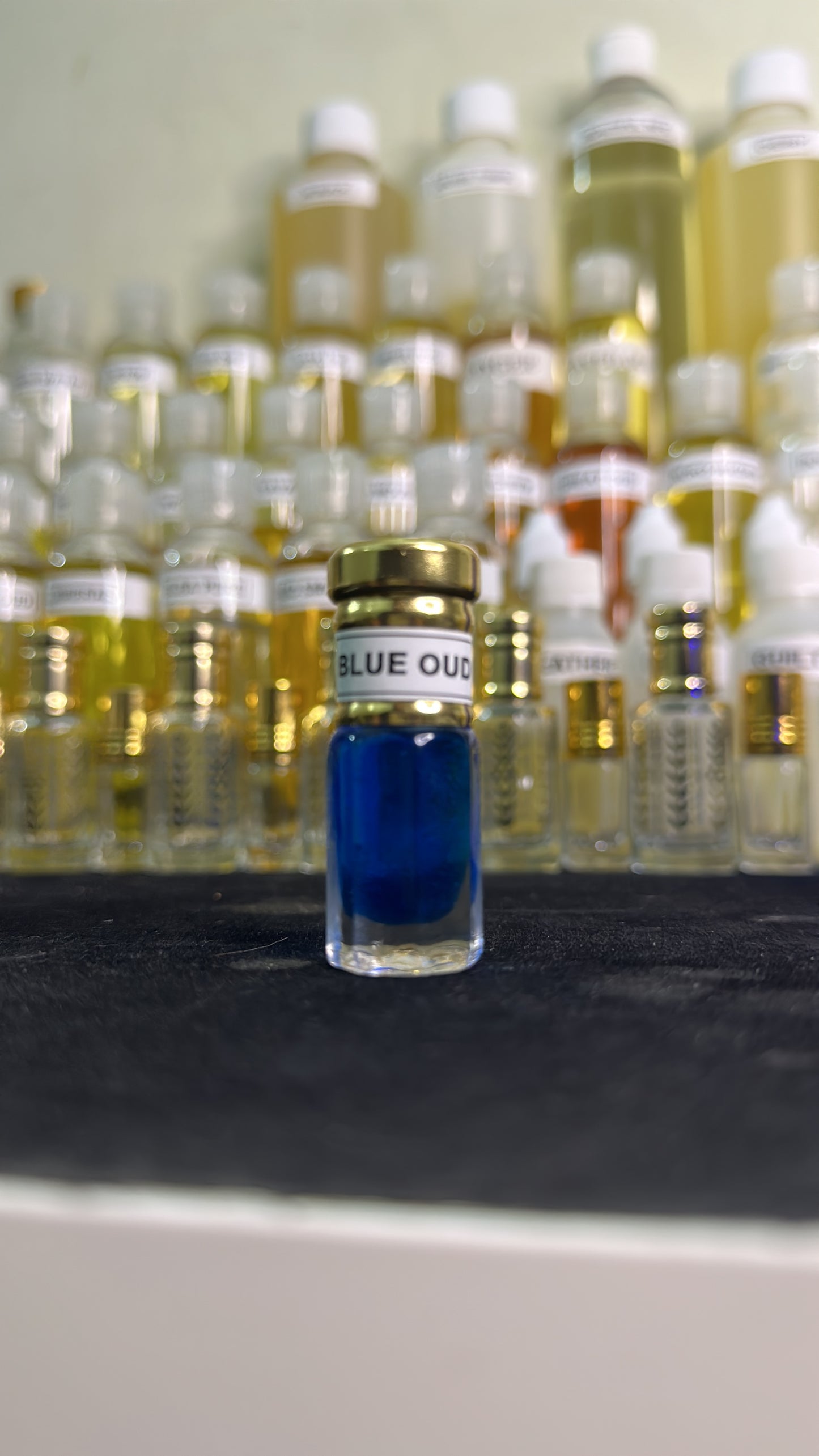 ๐ฝ๐๐๐ ๐๐๐ฟ